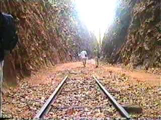 Schienenreste zeugen noch von der ehemaligen Streckenführung.